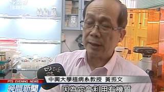 暖冬 炭疽病侵害 大湖草莓產量大減 20151203 公視晚間新聞