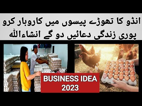 Egg business idea 2023 | egg business in pakistan | wattoo tech