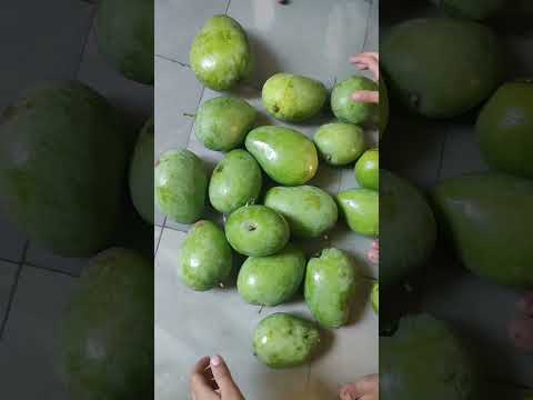 Unboxing  Mangoes #shortsindia #viral #ytshorts #mango #csk #ipl2023