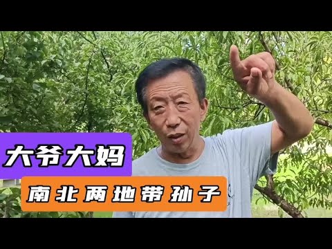 大爷和大妈南北两地带孙子，过年全家才能团聚一次#老人 #带孙辈