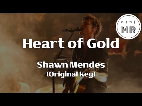 Heart of Gold - Shawn Mendes (션 멘데스) (원키G) 여기MR / Karaoke / Music / 노래방