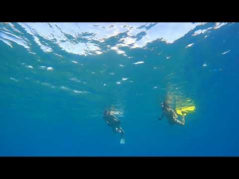 石垣島大崎海岸タチイ浜 11月の夏日？