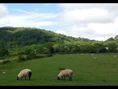 Castlemorton Common - Worcestershire | UK