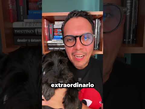 Mi perro me ayuda a saber que todo está bien.