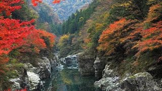 Beautiful Tokushima（English language）