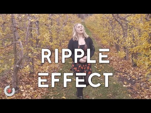 Scott Helman - Ripple Effect | Cover by Olivia Penalva