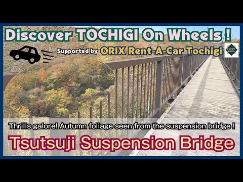 Discover TOCHIGI On Wheels ! ｜Tsutsuji Suspension Bridge