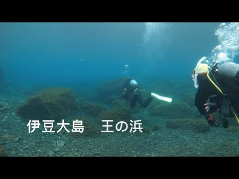 伊豆大島　王の浜