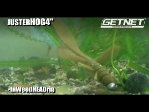 JUSTERHOG4"-InWeedHEADrig