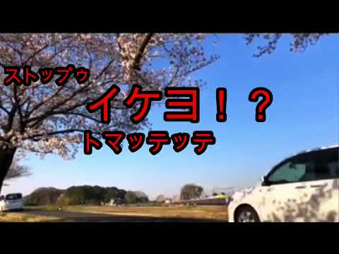 【罵声の嵐】発狂した撮り鉄道たち　３選