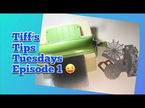 Tiff’s Tips Tuesdays Series Episode #1 | Let’s Talk Dies