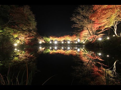 穴弘法もみじと100地蔵のライトアップ-2017【土岐市】