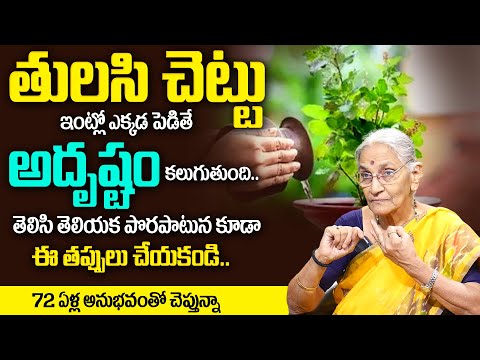 Anantha lakshmi -తులసీ చెట్టు ఏ వైపుకు ఉంటే అదృష్టం | Tulasi Chettu Ekkada Pettali | TSW