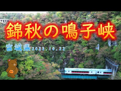 はらペコ茶くま日記　　錦秋の鳴子峡　ドローン空撮　202310.22