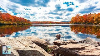 Autumn Colours 🍂🍁 Breathtaking Nature Scenery & Relaxing Music