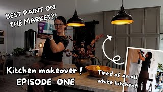 Kitchen makeover on a budget! Best paint on the market!?!?!?!  Episode 1