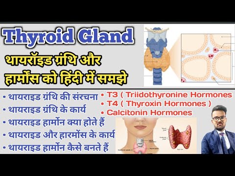 Thyroid Gland in hindi | Thyroid Hormones | T3 | T4 | Thyroxin Hormones | Thyroid Profile Test