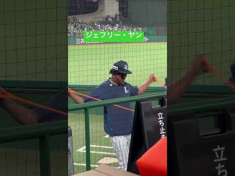 #ライオンズ #ヤン #ショート動画 #フィールドビュー #野球