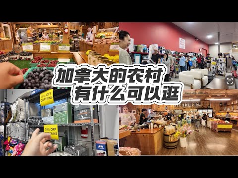 🇨🇦costco清仓店情报员来了◇打卡当地超有人气的生鲜蔬果小超市