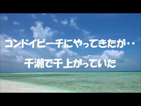 コンドイビーチにやってきたが・・干潮で干上がっていた#竹富島 #石垣島 #コンドイビーチ #沖縄