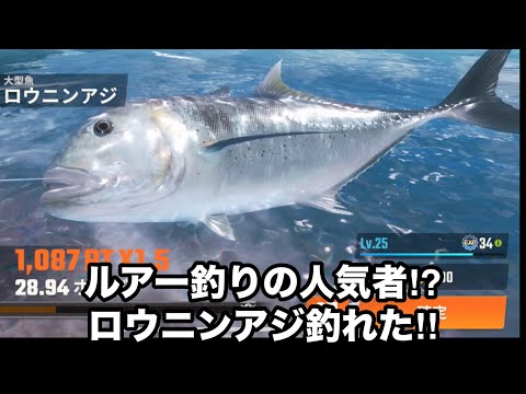 この魚を実際に釣ったことある人いる⁉︎釣りの達人