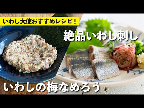 Delicious sardine sashimi ・ Sardine with plum namero