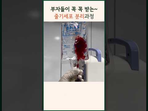 부자들이 꼭 받는 동안주사 줄기세포 수액 |면역력강화 안티에이징 #modsclinic #모즈클리닉 #줄기세포 #안티에이징