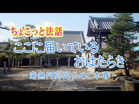 ちょこっと法話「ここに届いているおはたらき～南無阿弥陀仏のご本尊～」