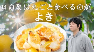 【ひなたの国】宮崎が誇る輝く日向夏。まるごと食べるのが、良き。