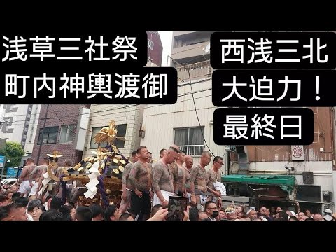 浅草三社祭２０２４年 西浅三北町会！迫力ありました！大神輿 浅草神社 東京都台東区浅草  中村会 浅草五代目高橋組 渡御の途中撮影会がありました！良かったらチャンネル登録よろしくお願いいたします❤️