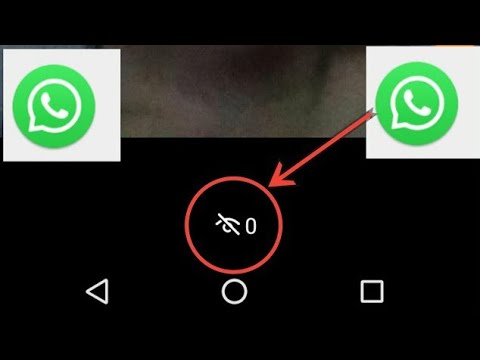 WhatsApp status views not showing