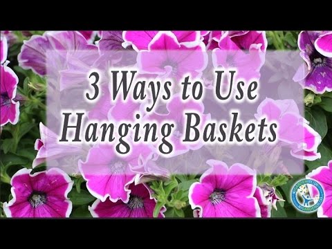 3 Ways to Use Hanging Baskets