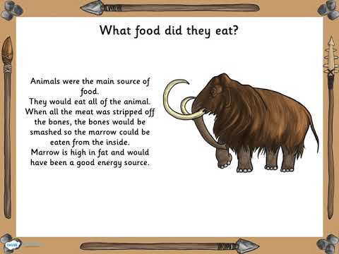 IPC Week 10 - Introduction to Stone Age