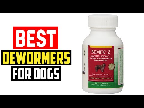 ✅ Top 5 Best Dewormers for Dogs in 2023