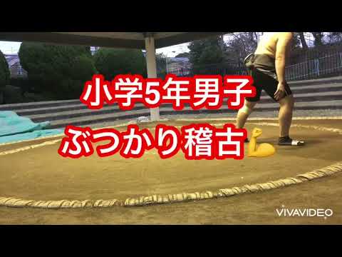 【わんぱく相撲】小学3年男子正式入会😃ぶつかり稽古強化DAY💪2021.12.5(日)稽古の様子【葵相撲道場】