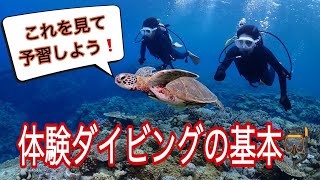 【体験ダイビングの説明】ダイビングの基本！