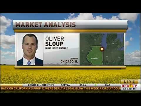 Is there any hope for the corn market to rally?