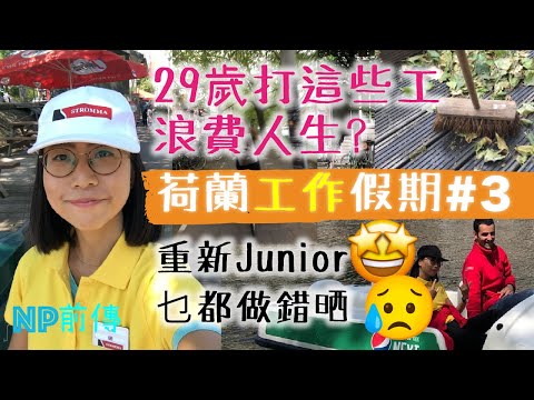 4份Junior工 平均工資工時 職場人事｜荷蘭工作假期｜#3工作篇