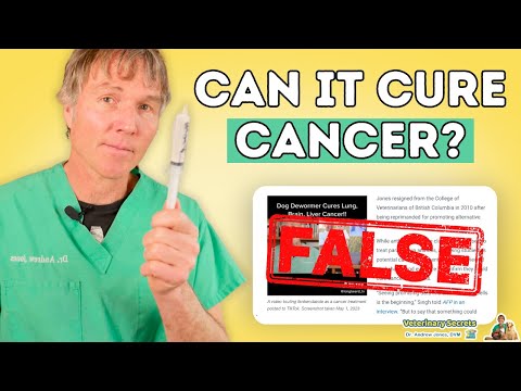 Exposing the Truth: Dr. Jones' Dog Dewormer Cancer Cure Debunked