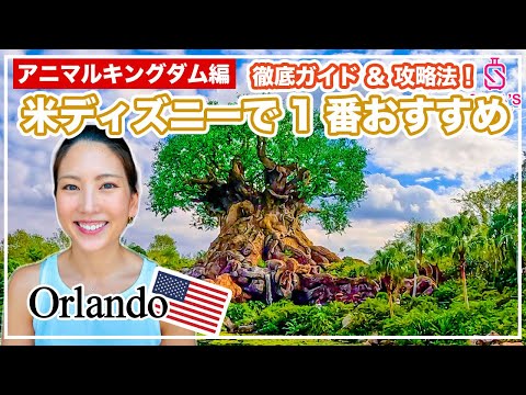 【アメリカディズニー】ここぞ唯一無二のパーク！アニマルキングダムの回り方、アトラクション、フード、攻略法など