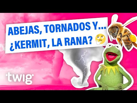 Noticias científicas sorprendentes de las que quizás no hayan oído hablar | Twig Science Reporter