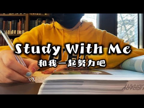 1小时一起学习吧｜高度专注沉浸式陪你学习｜舒缓轻音乐&环境音｜Study With Me