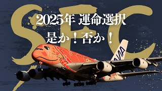 【SFC修行 ANA】2025年のSFC修行は最後のチャンスなの⁉️｜SFC修行は本当に必要？SFCを取るべきか迷ってるあなたへ