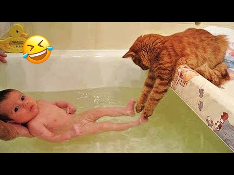 Funniest Animals 2024 😂 Best Funny Cats and Dogs 😹🐶 Part 9