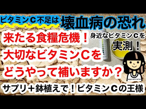 来たる食糧危機！ビタミンＣはどうやって補いますか？ビタミンＣ不足は壊血病の恐れ！アセロラはビタミンＣの王様です。ビタミンＣを計測してみました！サプリ＆ビタミンＣを育てましょう！