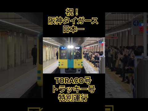 【日本一】3日間限定の特別列車！　 #阪神 #阪神タイガース