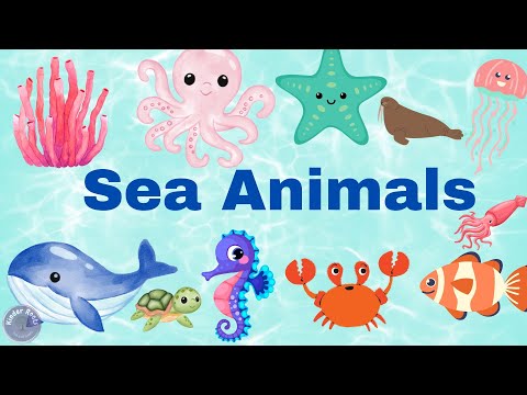 Sea Animals | Aquatic Animals | Sea Animals Names in English | Kids vocabulary | Kinder Roots