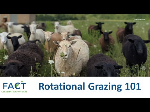 Rotational Grazing 101