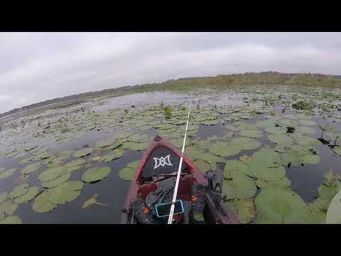 PICKEREL ON THE NEW YAK !