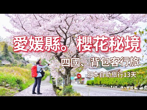 Vlog｜（第10集）日本境內最大型睡佛｜日本自助背包客旅遊13天4/7，四國愛媛縣櫻花秘境，內子&大洲懷舊之旅 #angela安卓の野生活 #4k